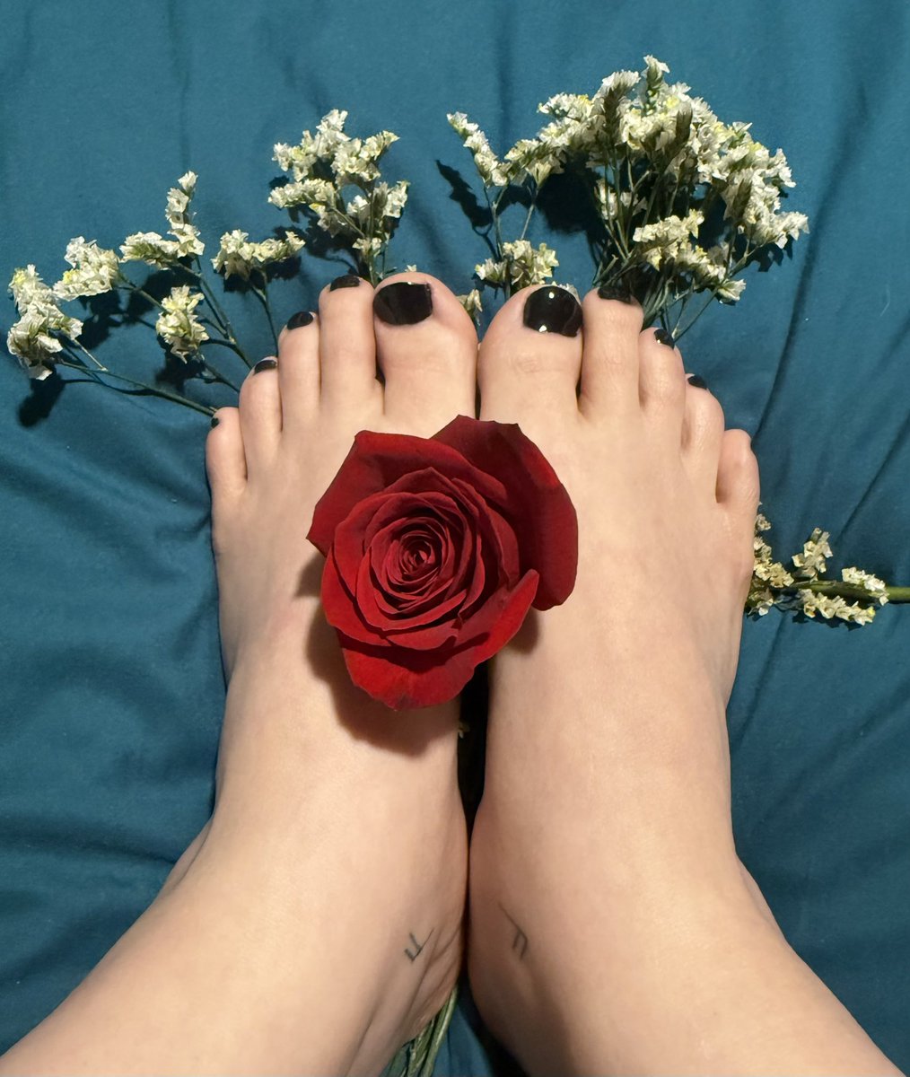 HR Chan ✂️🍷 tweet media