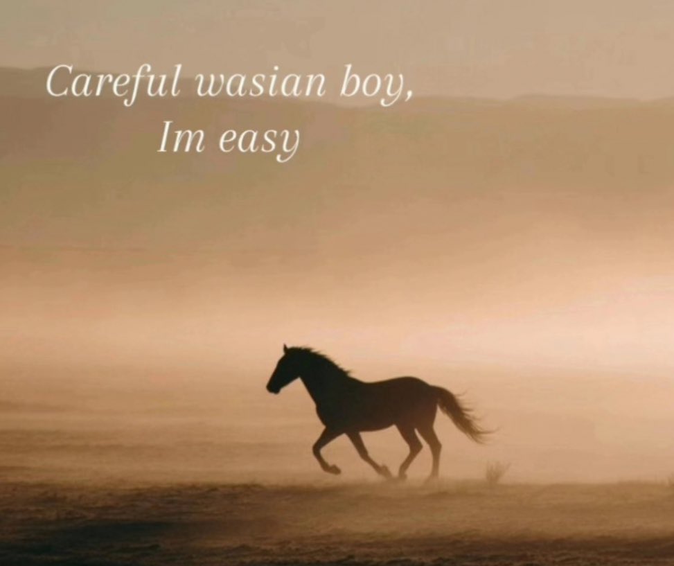 allyson (@vernonlovebot) on Twitter photo 