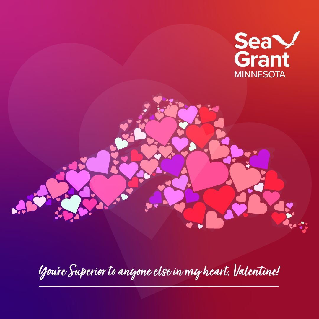 Minnesota Sea Grant | MNSG tweet media