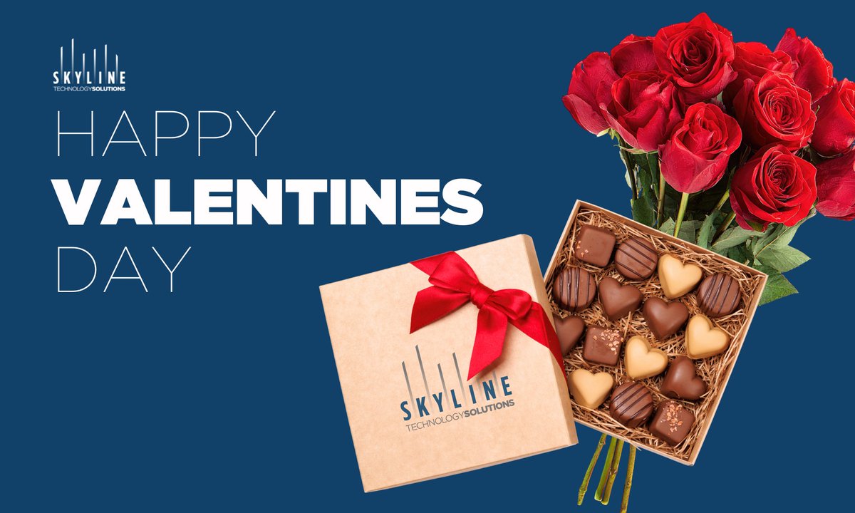 Skyline Technology Solutions tweet media