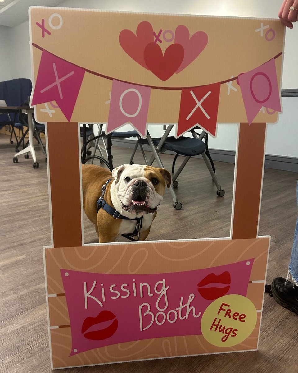 Jack the Bulldog tweet media