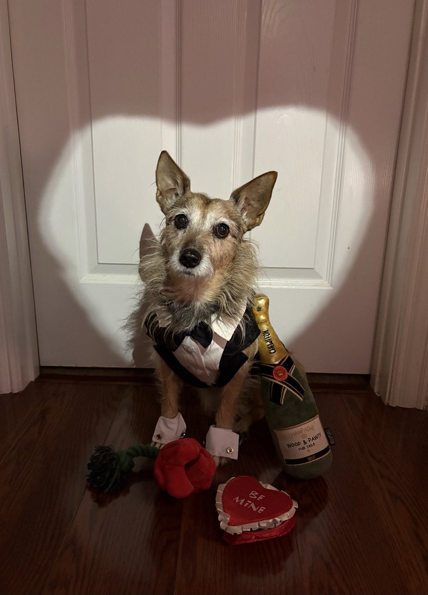 Herbiethemooland (@herbiemooland) on Twitter photo 