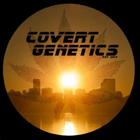 Nice sale on Covert Genetics, nothing but 🔥🔥🔥

#CraftCannabis #CannabisCommunity 
#GrowYourOwn