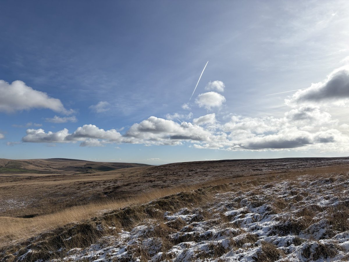 MrsLewis tweet media