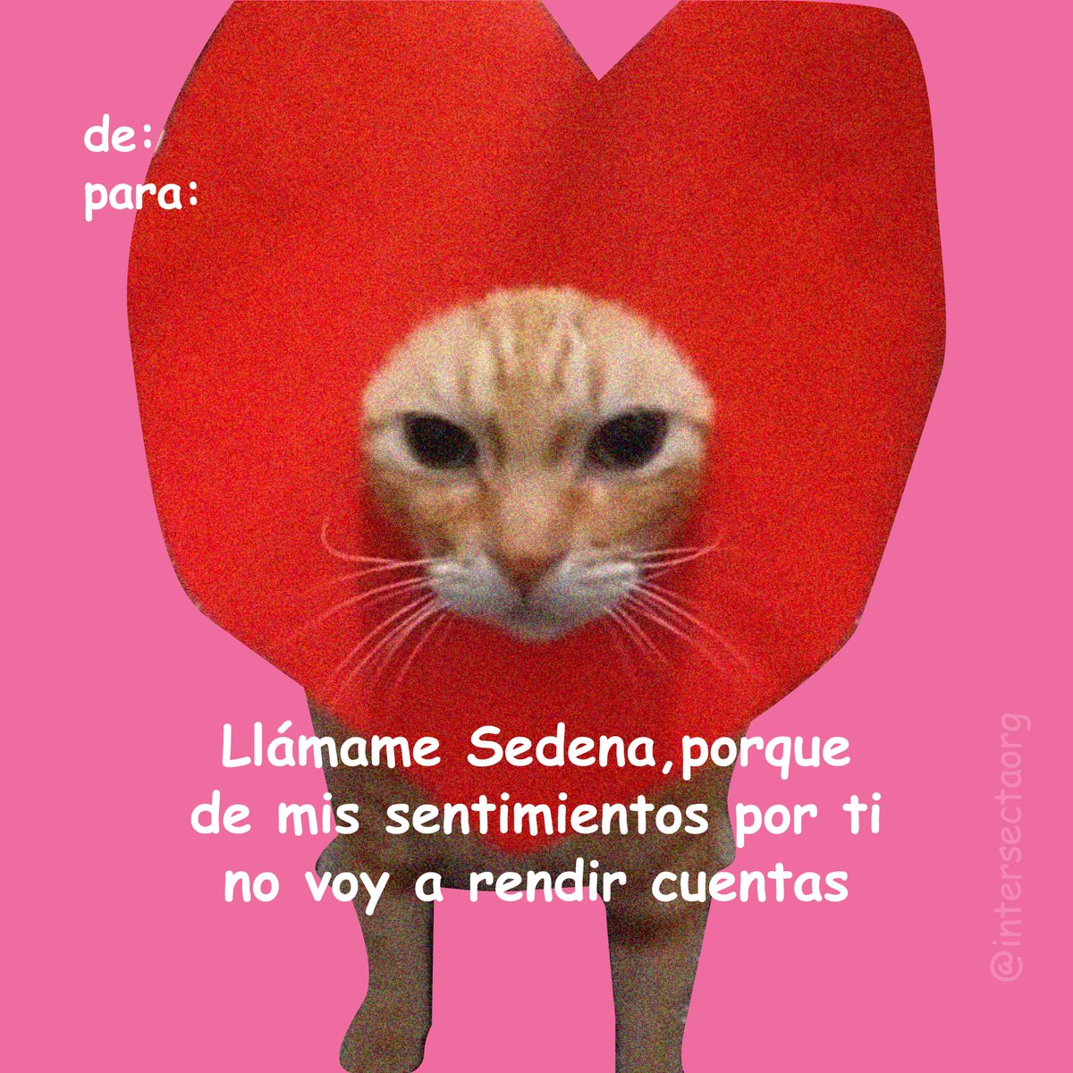 Intersecta tweet media