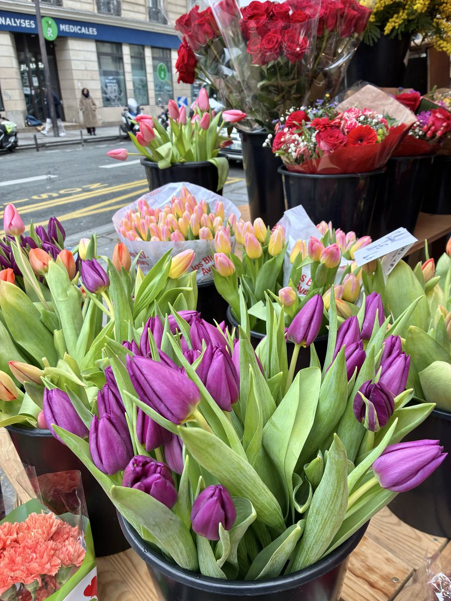 Paris_et_toi's tweet image. Bonjour

今日はバレンタインデーですね❣️
パリの街中がカラフルに染まっています💐フランスでは、バレンタインデーはカップルのための日。レストランなんかでは限定メニューも☺️

よき1日をお過ごしください♬
#イマパリ　#パリ