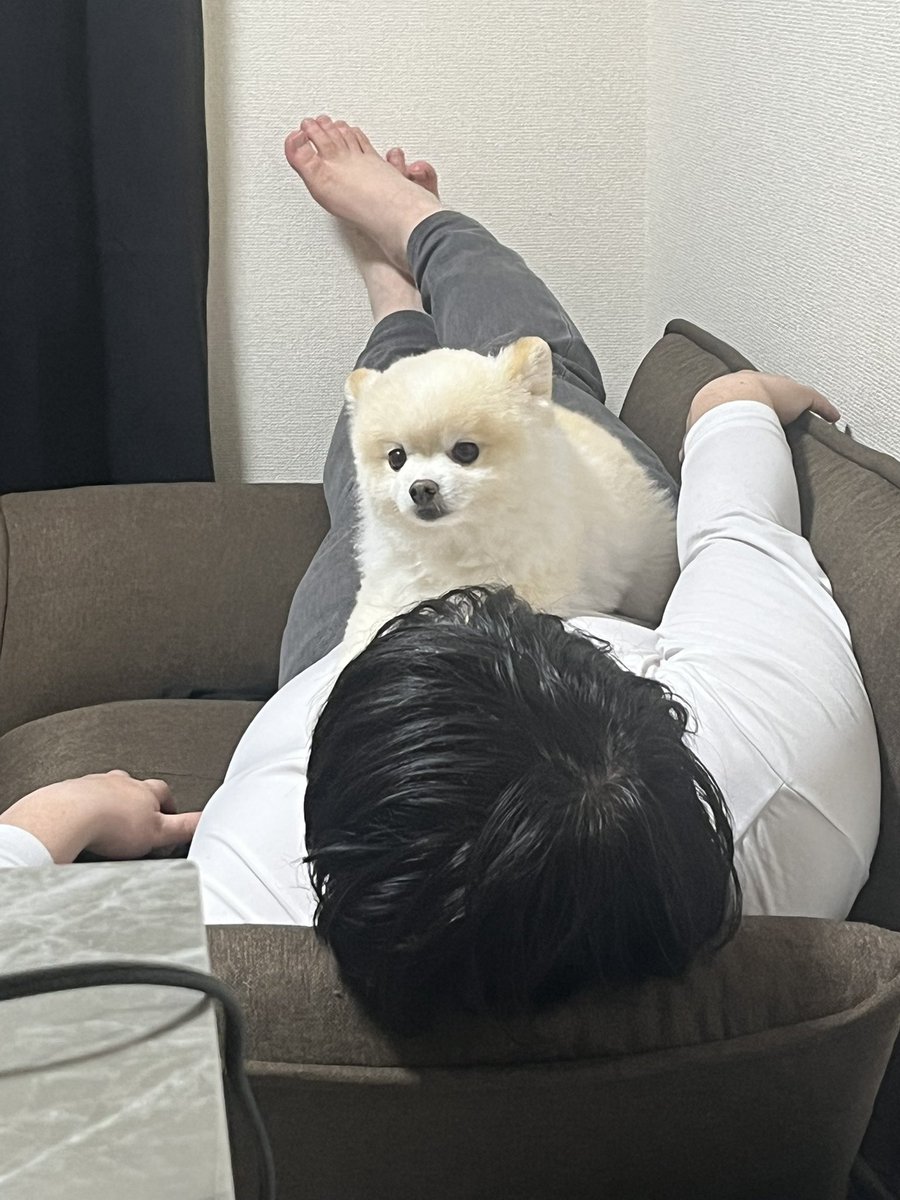 ぽんすけ大先生 (@yuyuyuyumee) / Posts / X