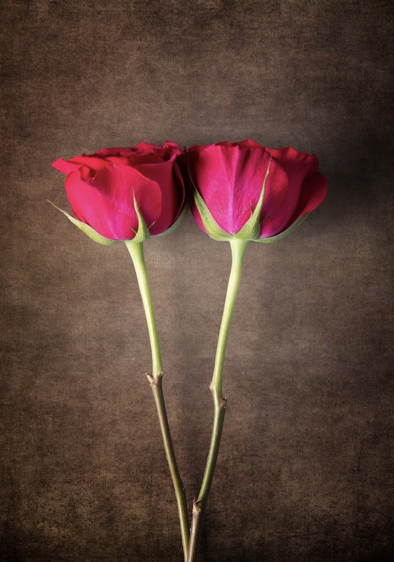 flava901's tweet photo. Happy Valentine’s Day to my beautiful girls. Thinking of you. -All my love https://t.co/ZAZWoDWYxa