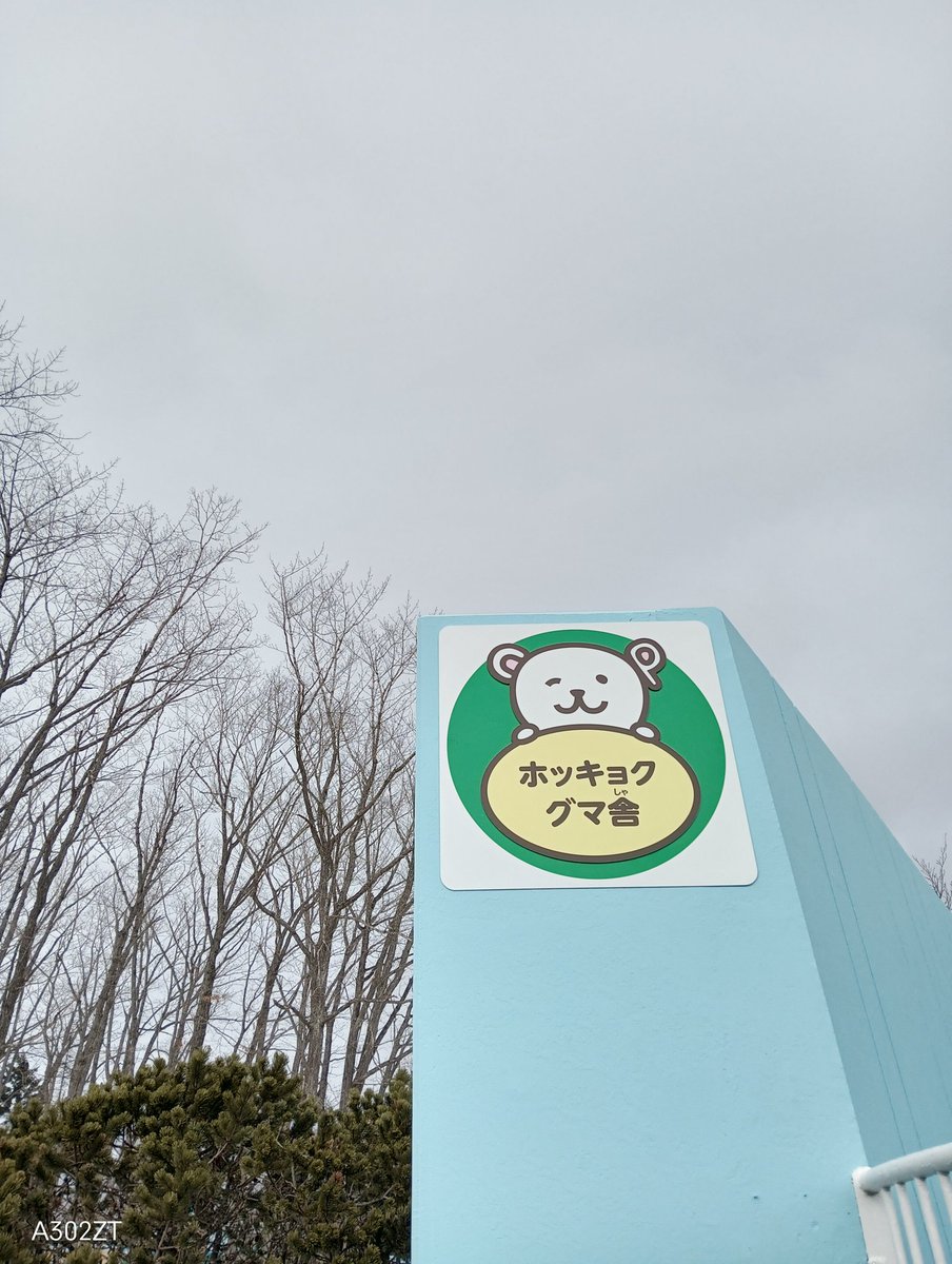 とらちゃん (@torachiro77) / Posts / X