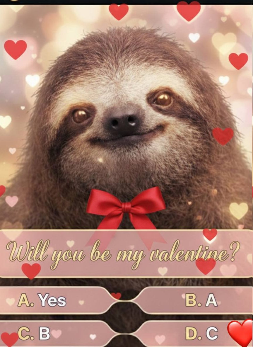 Lazy Football tweet media