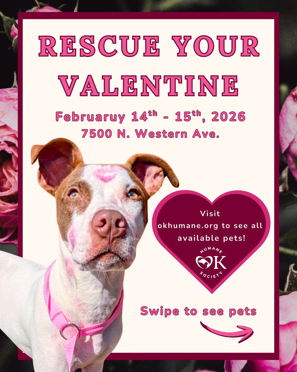 okhumane's tweet image. Skip the awkward dinner reservations and rescue your Valentine instead. Our adoptable pups are ready for couch cuddles, long walks, and a forever kind of love.

Adoption Center: 7500 N Western Ave.
Tuesday – Sunday | 11 a.m. – 6 p.m.
Visit okhumane.org for more info!