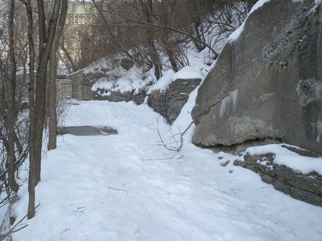 Andrew King tweet media