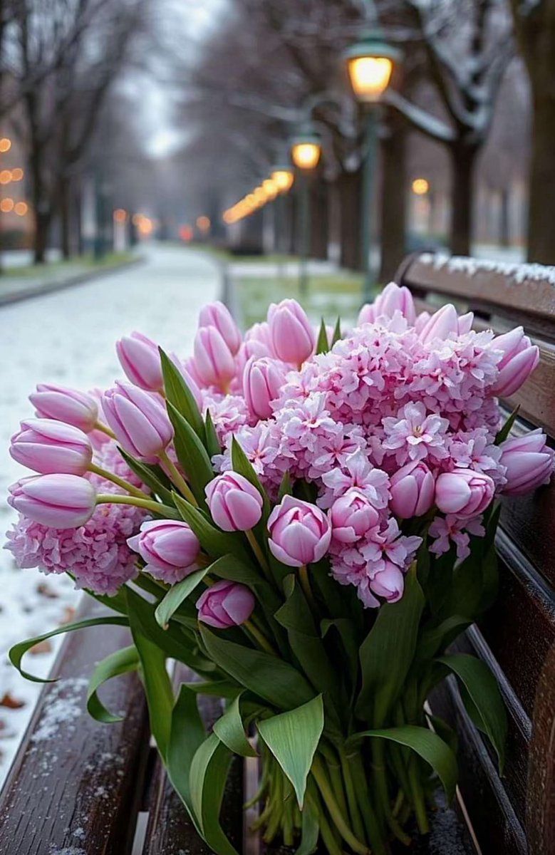 بلسانك ترتقي 💞
و بلسانكك تحترم 💞
وبلسانك تُحتقر💔
 فأختر ماشئت👌🏼