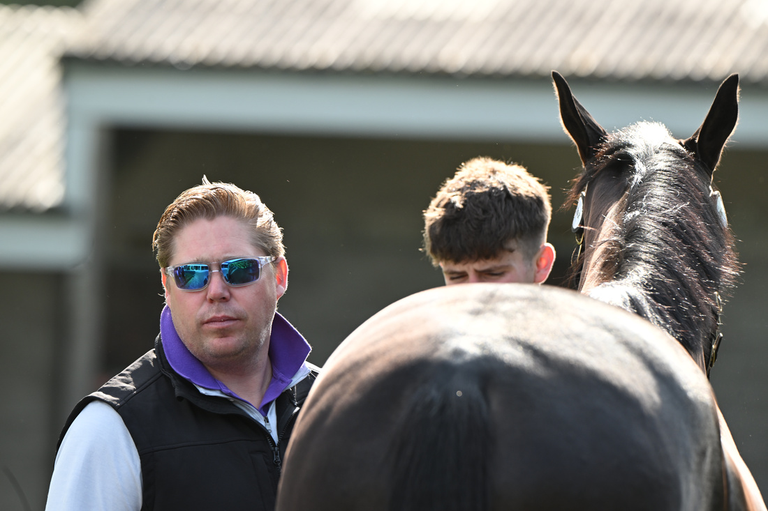 Tattersalls_ie's tweet photo. Dalston Lad secures his biggest victory to date, the Grade 2 Novices' Hurdle @Ascot for @DSkeltonRacing &amp; Cherry Knoll Farm, M Ward &amp; D Skelton. 

The Ocovango 6yo was sold as a foal at the November NH Sale by Longrove Stud to Michael Roche/Gatelodge Stables for €15,500. https://t.co/wyKwwKrIgG