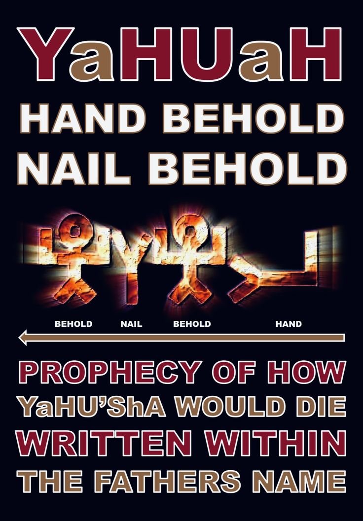 MarceloYAH tweet media