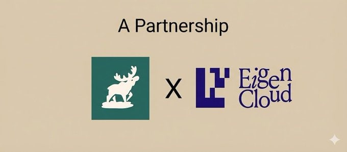 Md Tarek 🫎 tweet media