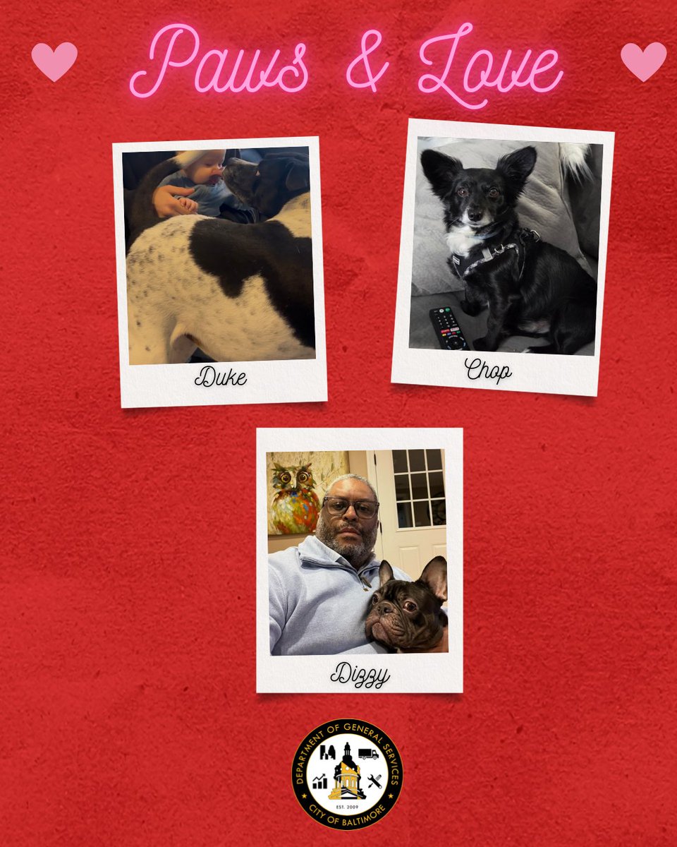 BaltimoreDGS tweet media