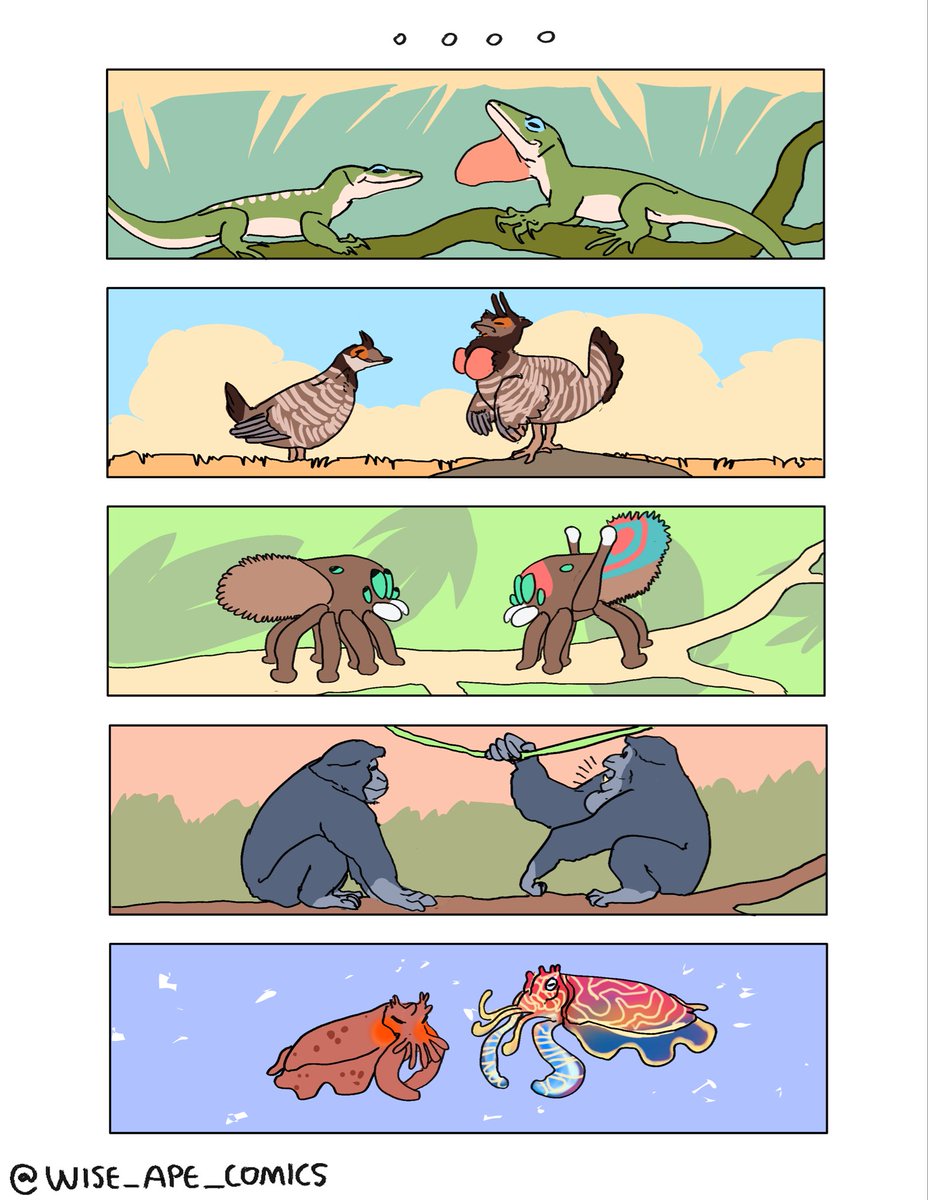 Wyatt-Andrews-Workshop tweet media