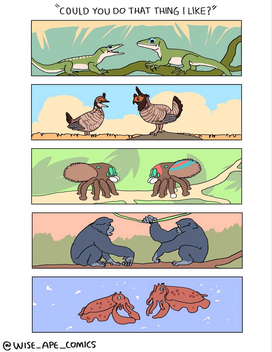 Wyatt-Andrews-Workshop tweet media