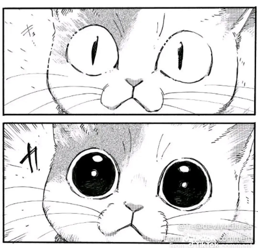 BeccaKitty0217's tweet photo. @VoiceOfOBrien Ah heh, fantastic. https://t.co/LOa7Wz3FQo