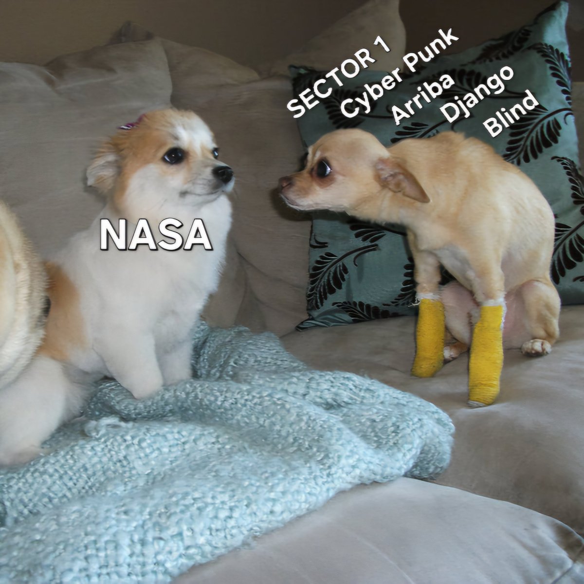 เกิดมามีบุญ เกิดมาแล้วได้เฉิดฉายเลยจริงๅ คุณหนูนาซ่า