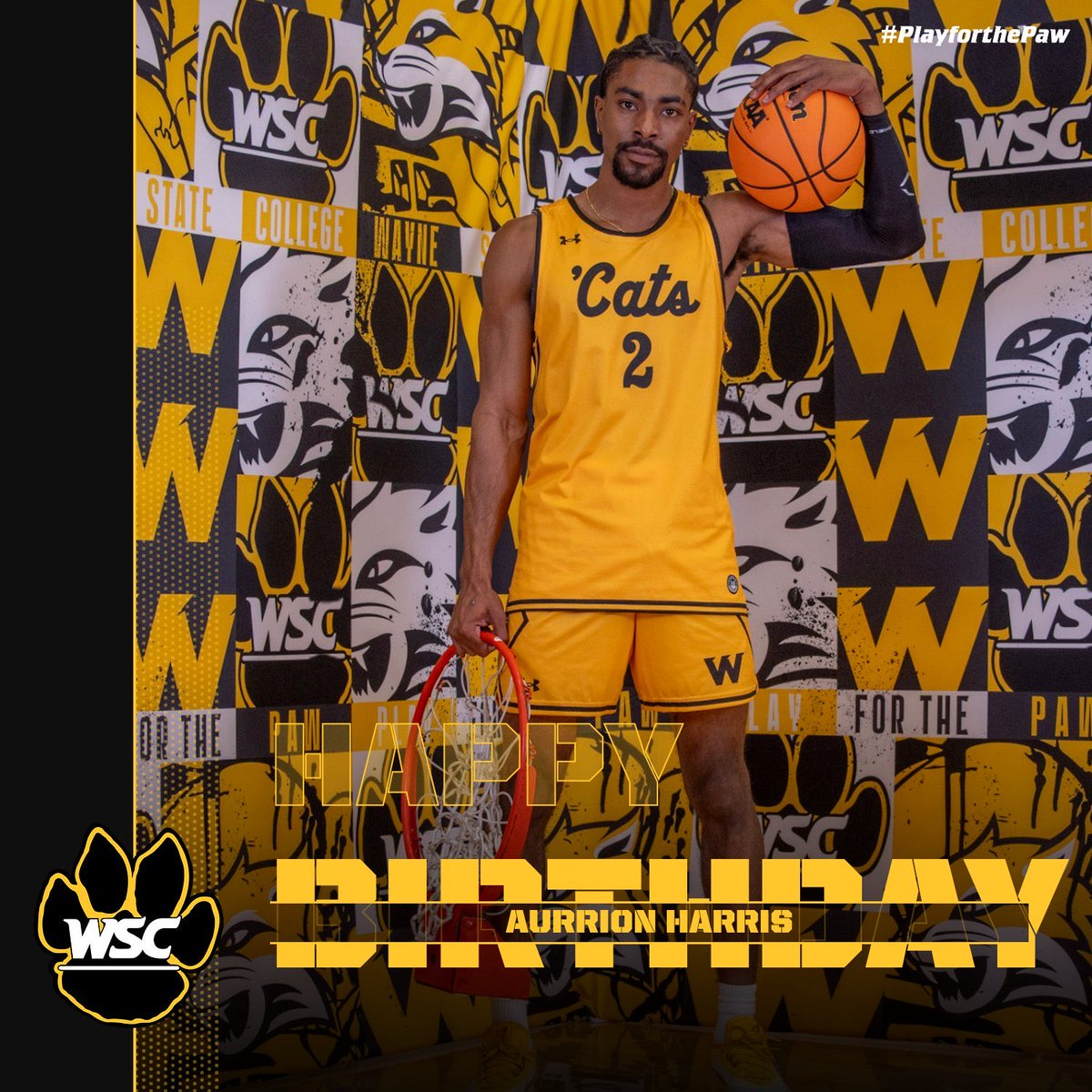 Wayne State MBB tweet media