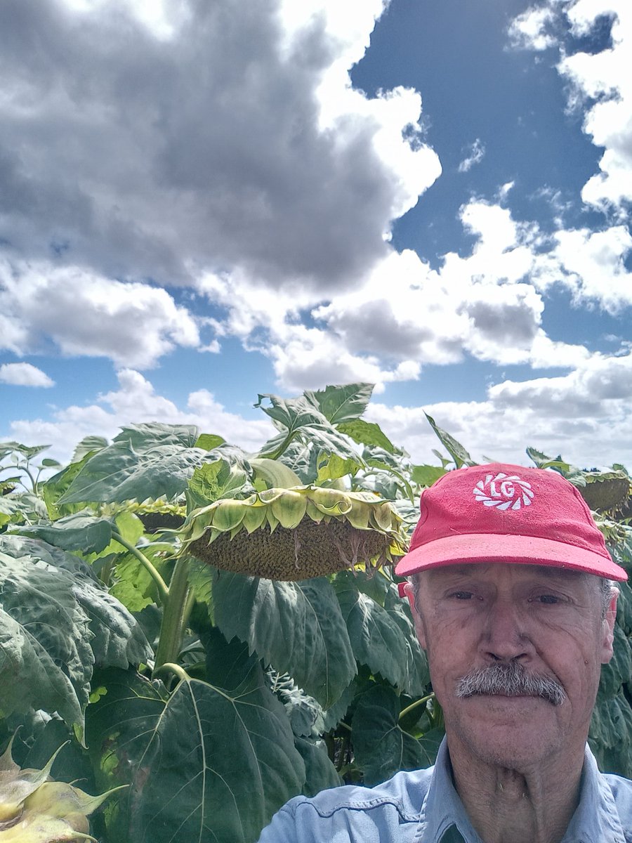 Patricio Heiland tweet media