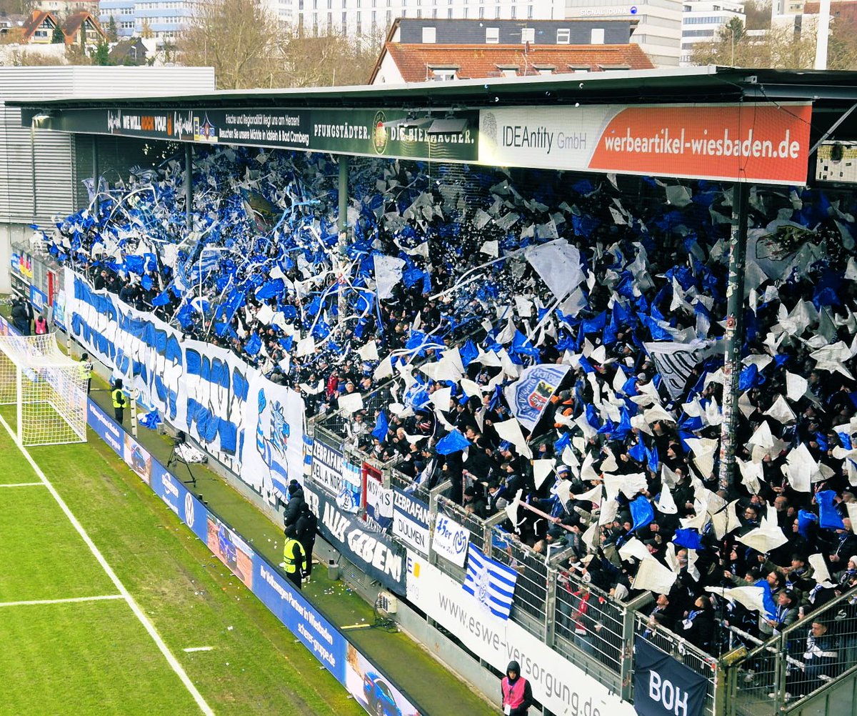 (Duisburg) Sai tweet media