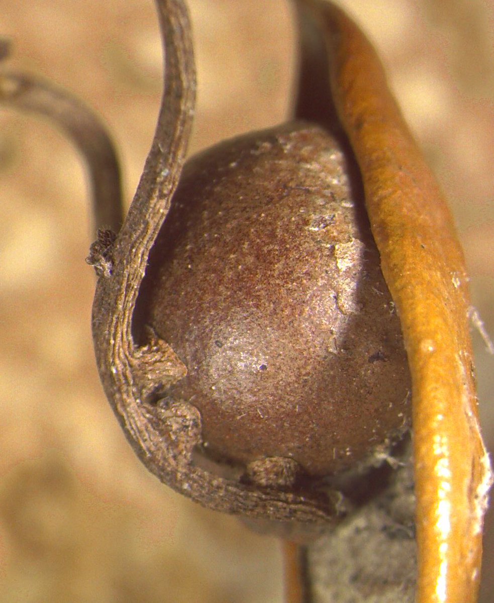 Scott P. Egan tweet media