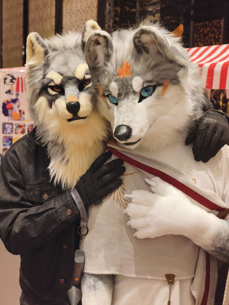 狼绒wolfvelvet tweet media