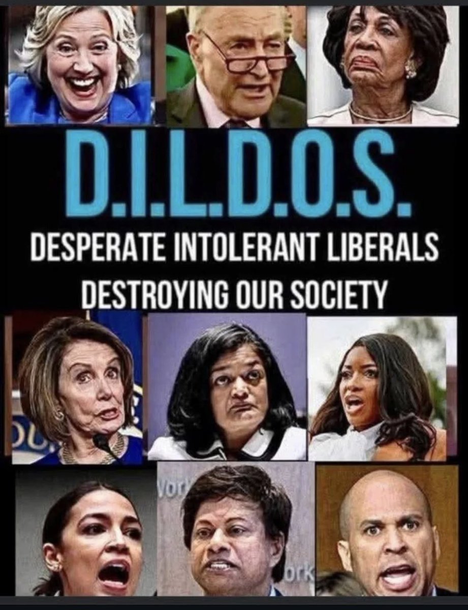 Finally, an acronym I don’t hate! 😂 D.I.L.D.O.S. is straight 🔥 A whole collection of tools trying to screw the country.