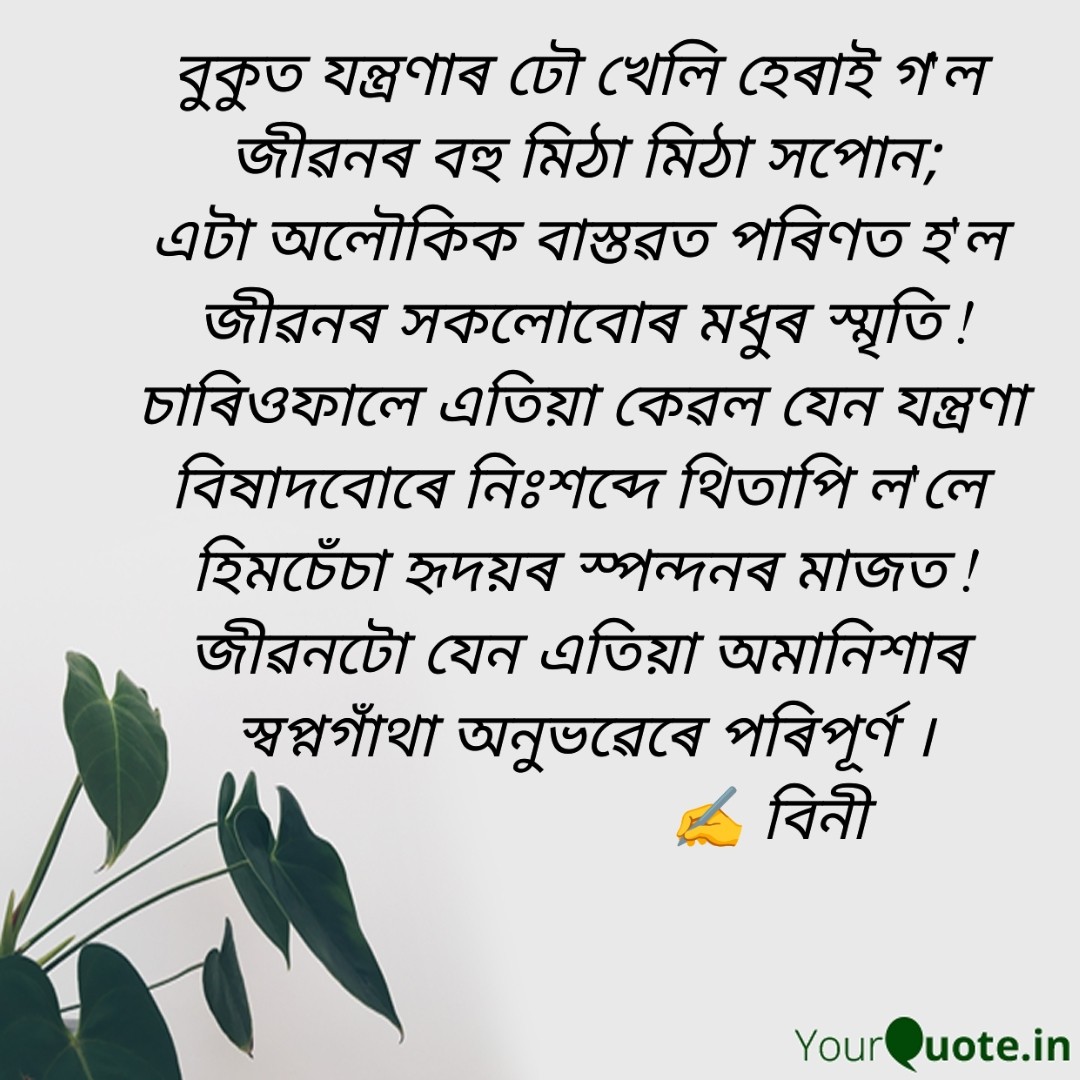 Bini 🇮🇳 tweet media