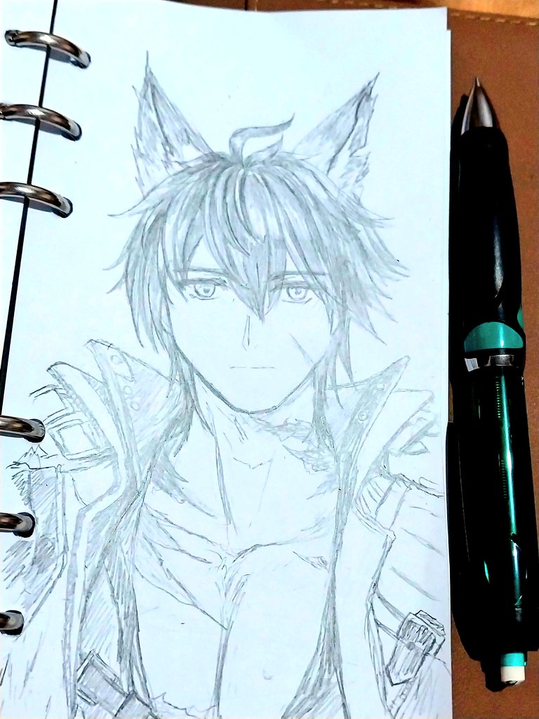 wulfgard doodle

(....I tried)