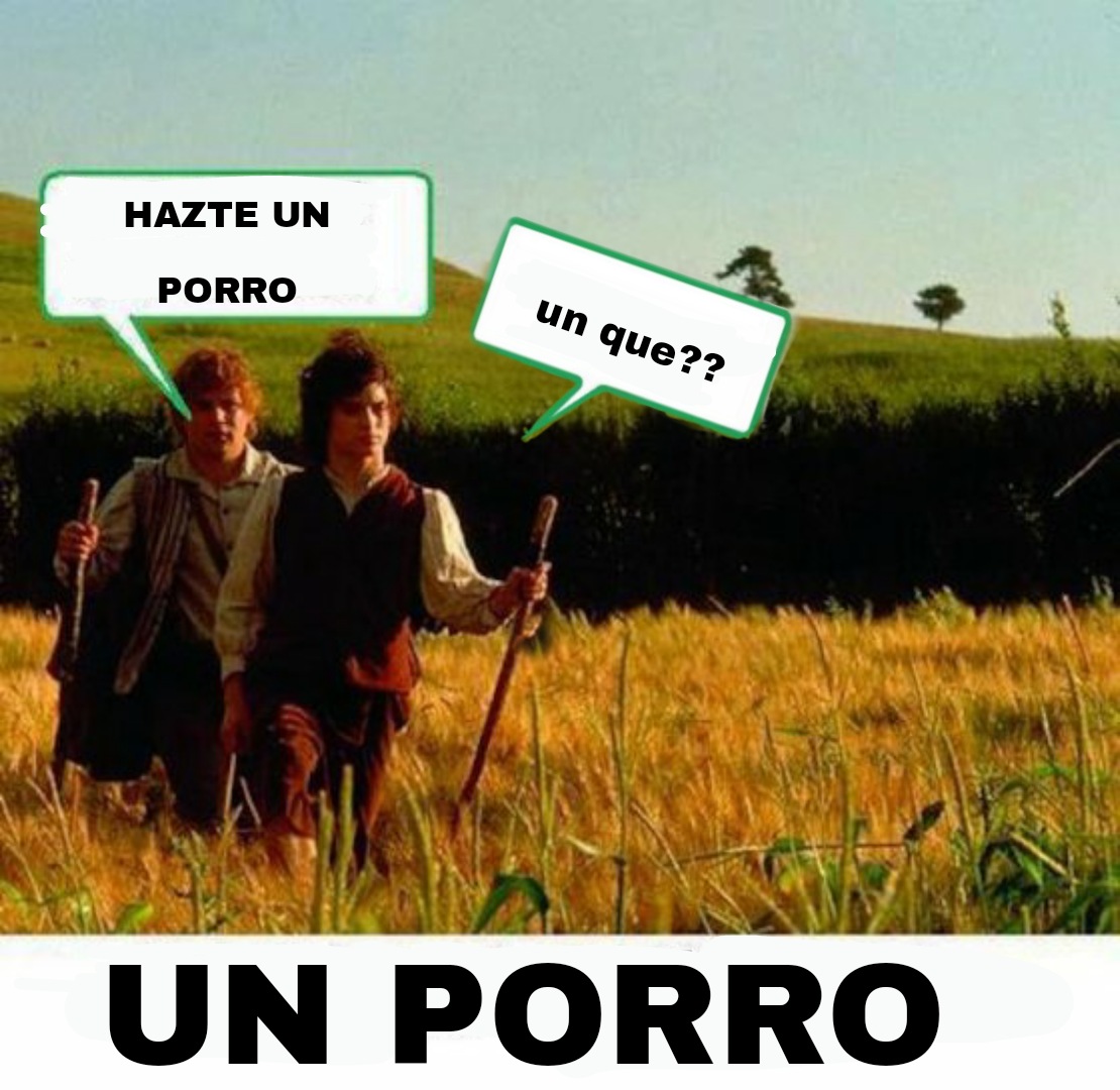 🐙 ventoson XD 🐙 tweet media