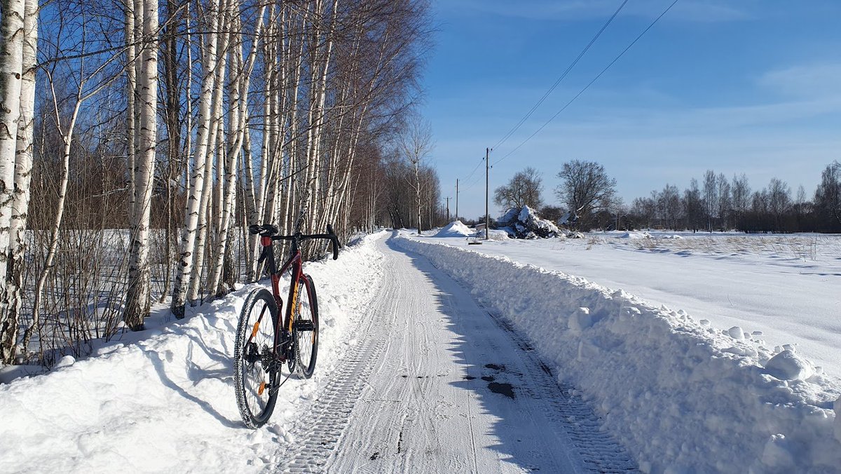 erv 🇱🇻❤️🇺🇦 tweet media