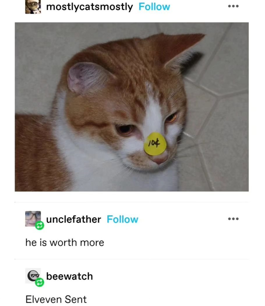 Punch Cat (@punchingcat) on Twitter photo 