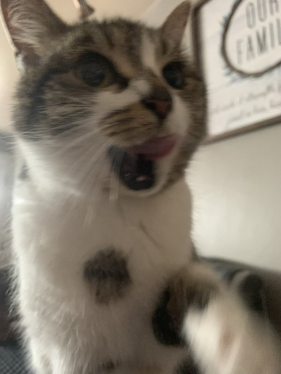 Espie 🕷️🥀 tweet media