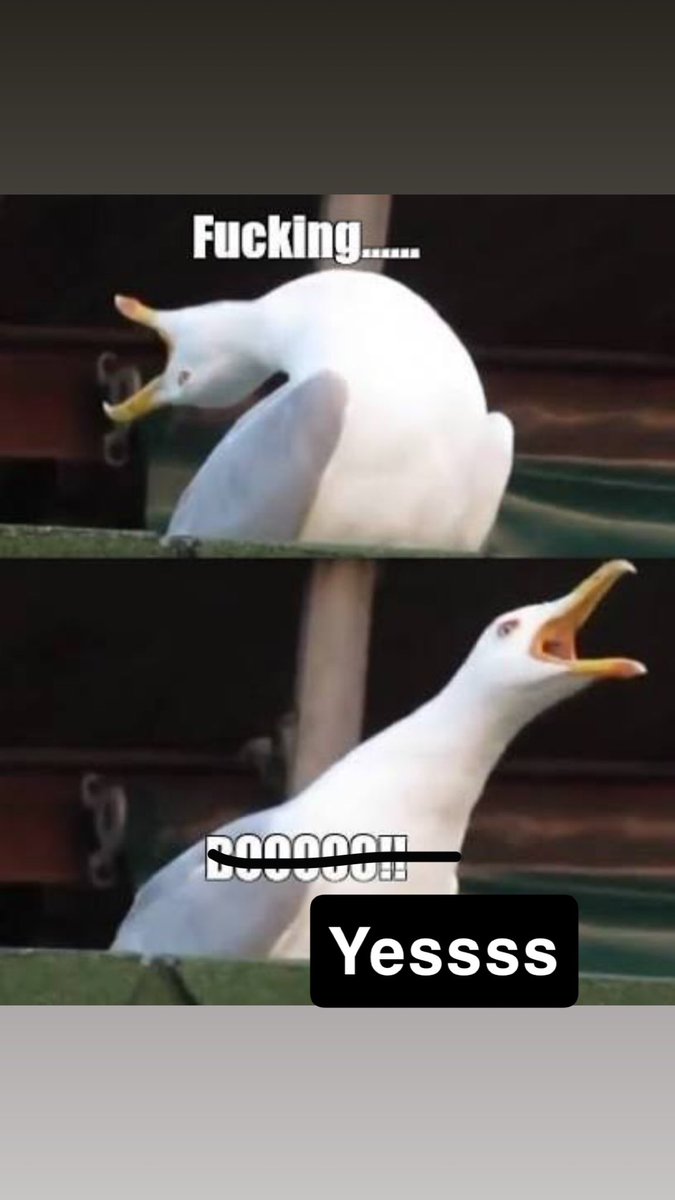 Daniel Room tweet media