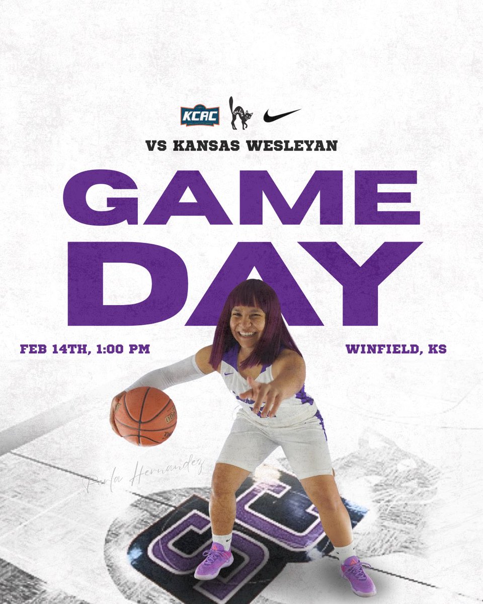 LadyBuilderBasketball tweet media