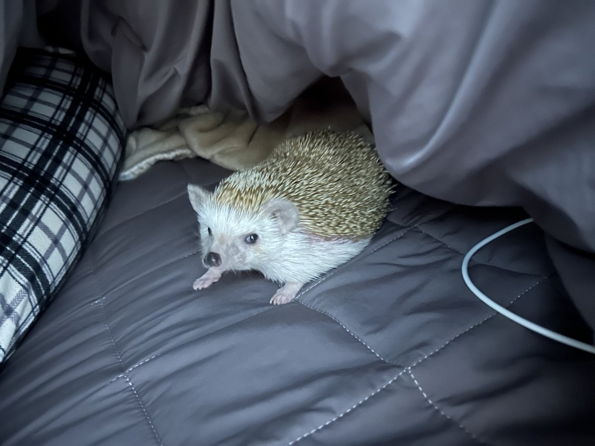 울 아기한테 자리 안 비켜주니까 이러고 째려봤대 아 웃겨 표정 봐ㅋㅋㅋㅋㅋㅋㅋㅋㅋㅋㅋㅋㅋㅋㅋㅋㅋㅋㅋ