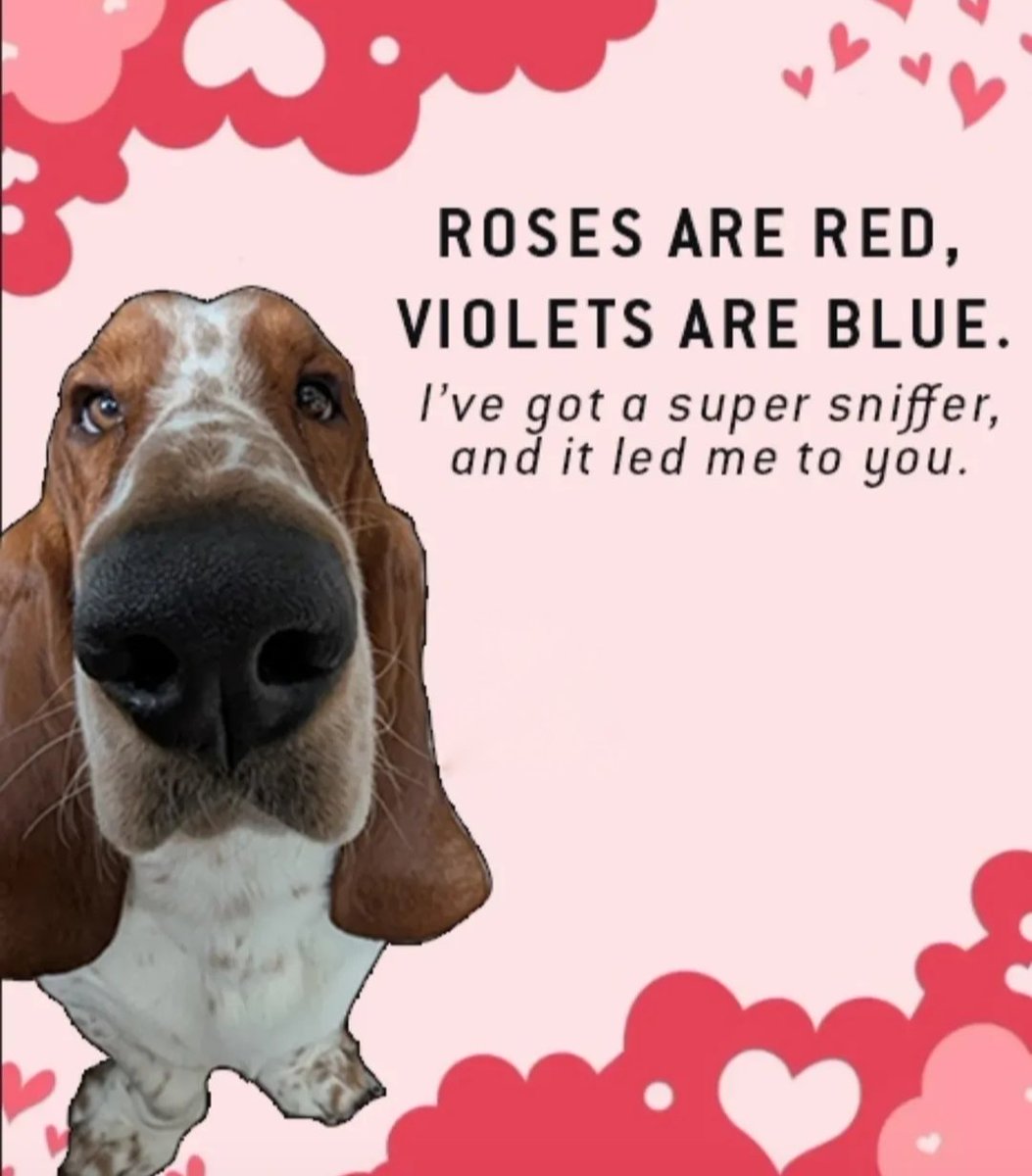alaneyoung's tweet photo. Happy Valentine's Day https://t.co/EnlKMI3wts
