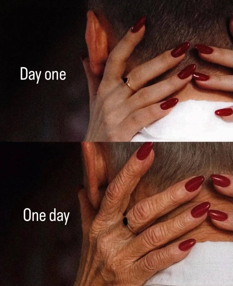 Synexdoche (@amor_fatti) on Twitter photo 