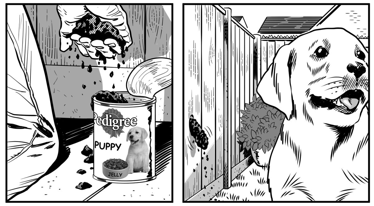 Lee Healey tweet media