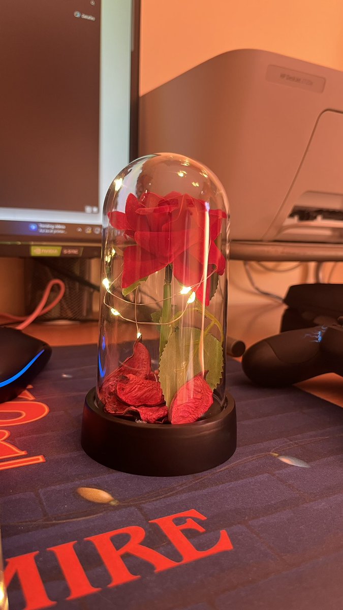 Mire Corvo tweet media