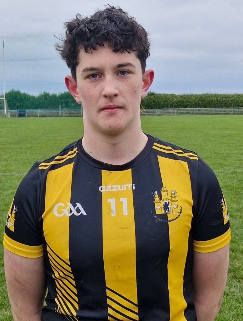 Fenians GAA Club tweet media