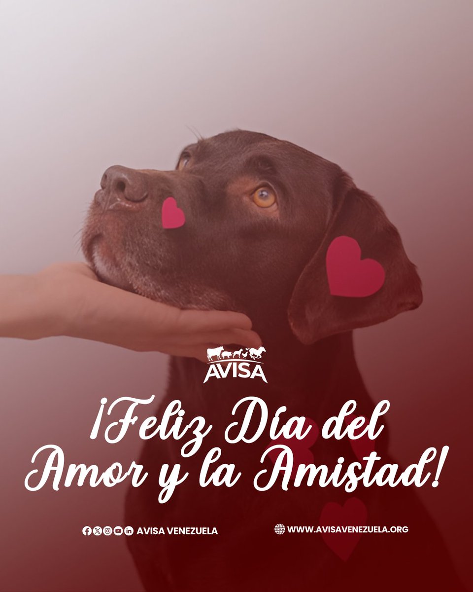 ¡Feliz Día del Amor y la Amistad! ♥️

En AVISA celebramos la pasión por la sanidad animal, el orgullo de nuestra profesión y el compromiso con Venezuela.

Honramos las amistades y alianzas que fortalecen nuestro camino gremial. 

#AVISA #AmoryAmistad