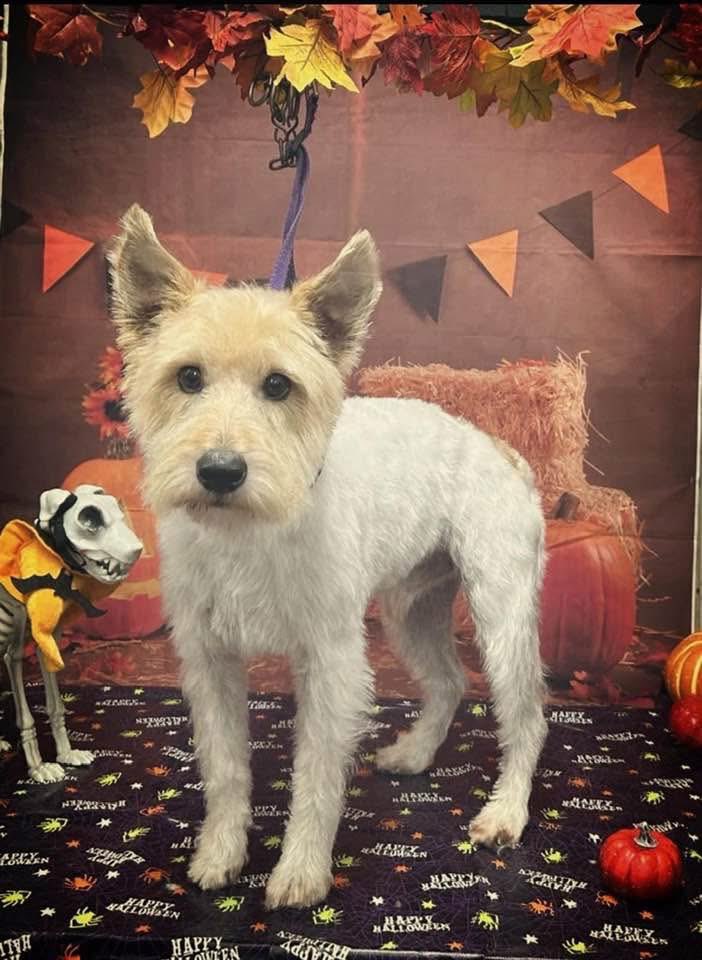 Jake Aston 🤩 tweet media