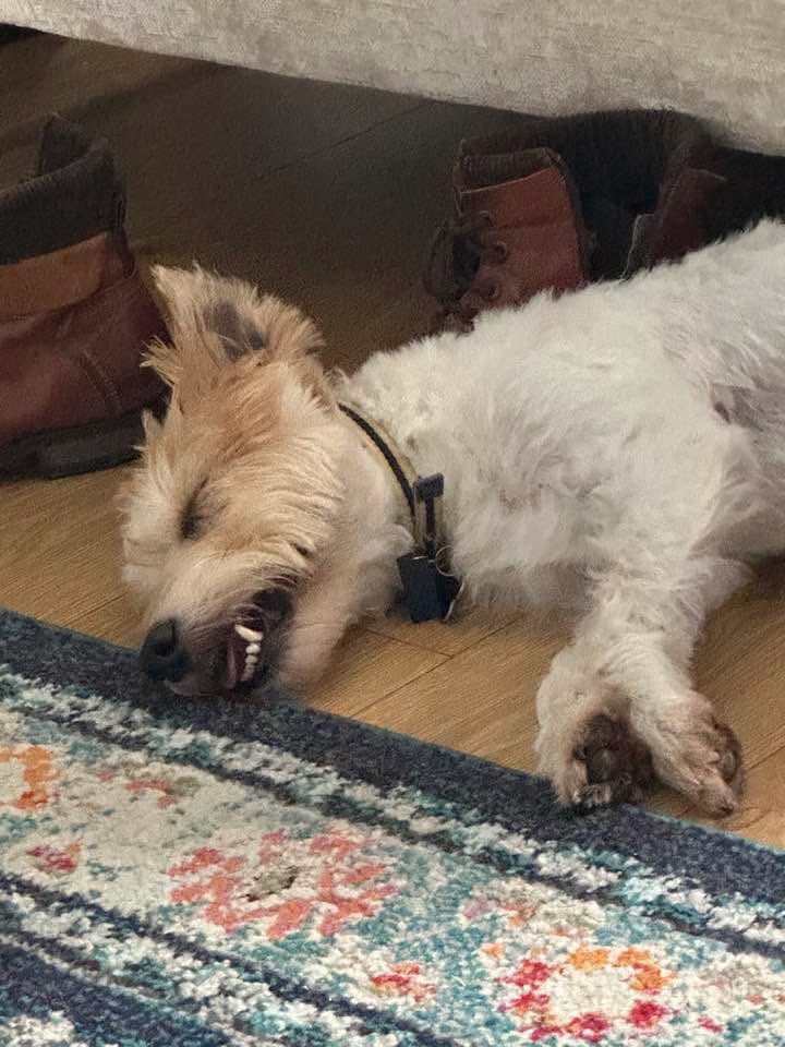 Jake Aston 🤩 tweet media