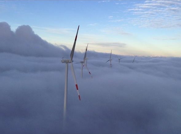 Ximena Rincón tweet media