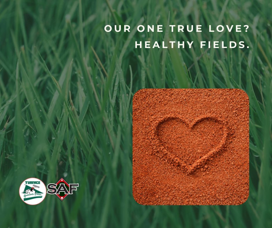 TurfaceC's tweet image. Happy Valentine’s Day from your field obsessed friends. ✊🏽

#dirtgottaloveit #turface #groundscrew